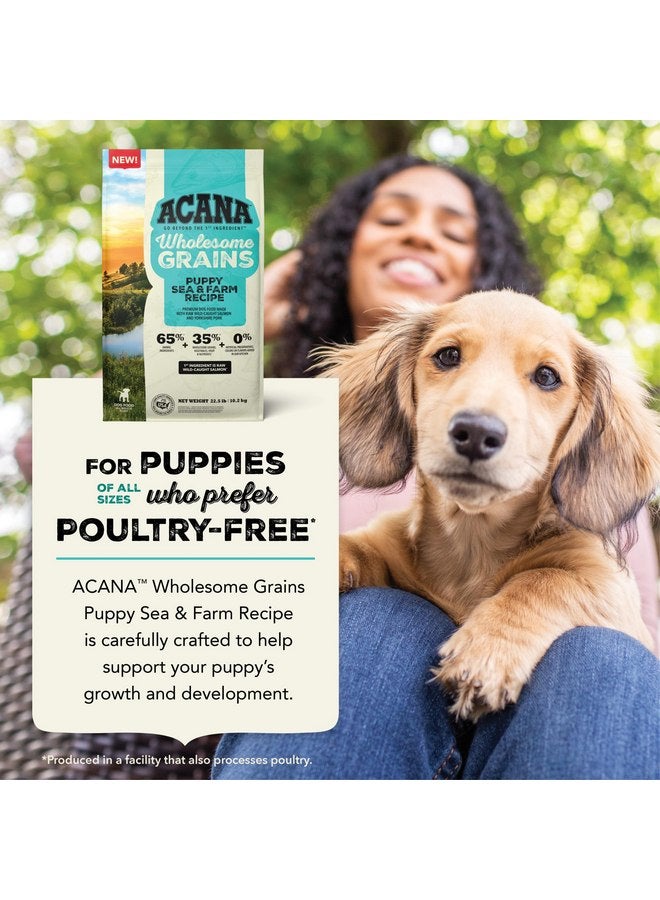(أسنى) طعام الكلاب الجاف ACANA™ Wholesome Grains Puppy Sea & Farm Recipe، 4 رطل - Image 3