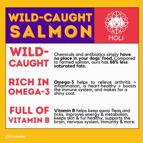 HOLI Freeze Dried Salmon Dog Food Topper - with Omega 3 & 6 - Single Ingredient, Human-Grade Wild Caught Salmon - Dog Food Flavor Enhancer for Picky Dogs – 100% All Natural - 1.5oz - Image 5