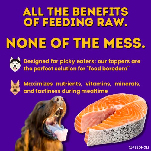 HOLI Freeze Dried Salmon Dog Food Topper - with Omega 3 & 6 - Single Ingredient, Human-Grade Wild Caught Salmon - Dog Food Flavor Enhancer for Picky Dogs – 100% All Natural - 1.5oz - Image 3