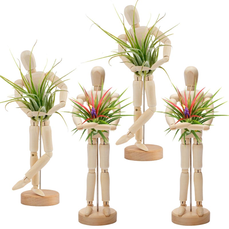 ANPHSIN 4 Pcs 8.6'' Wooden Air Plant Holder - Unique Jointed Mannequin Airplant Stand with Adjustable Poses, Tillandsia Display Container for Home Office Decoration Housewarming Gift - Image 1