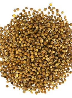 Starwest Botanicals Organic Coriander Seed 1 lb (453.6 g) 