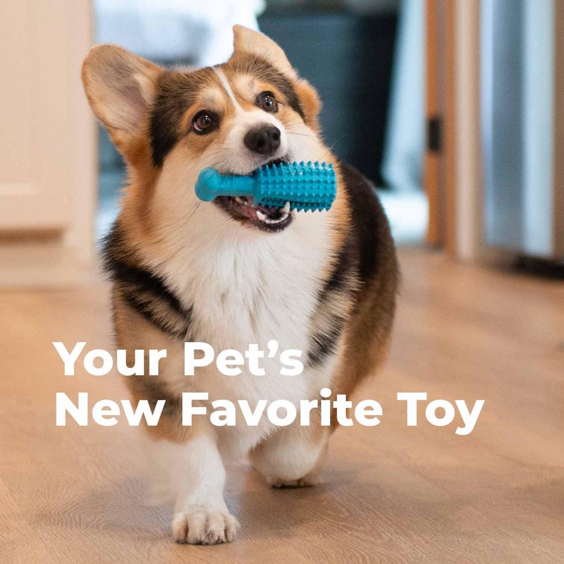 Oxyfresh Dog Dental Chew Toy - Best Dog Teeth Cleaning Toy â€“ A Simple Bite and Brush Toy That Helps Remove Plaque, Cleans Teeth & Freshens Breath Without Brushing - Small - Image 3