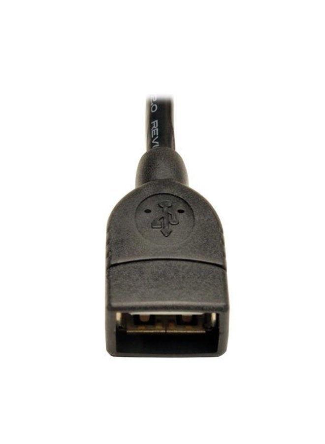 TRIPP LITE USB 2.0 to USB Motherboard 4-Pin IDC Header Cable 6-Inch (U024-06N-IDC) - Image 3