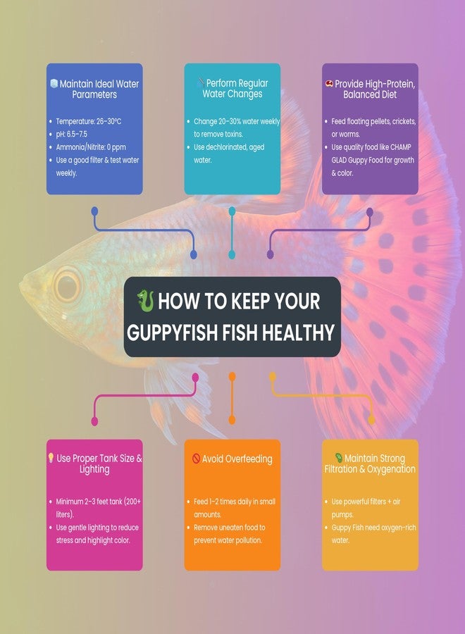 طعام أسماك الجوبي الممتاز من شامب جلاد - اشترِ واحدًا واحصل على الثاني مجانًا! حبيبات دقيقة 0.8 مم | علف عائم غني بالبروتين للأسماك الاستوائية الصغيرة وصغارها | تركيبة معززة للألوان 100 غرام - Image 3