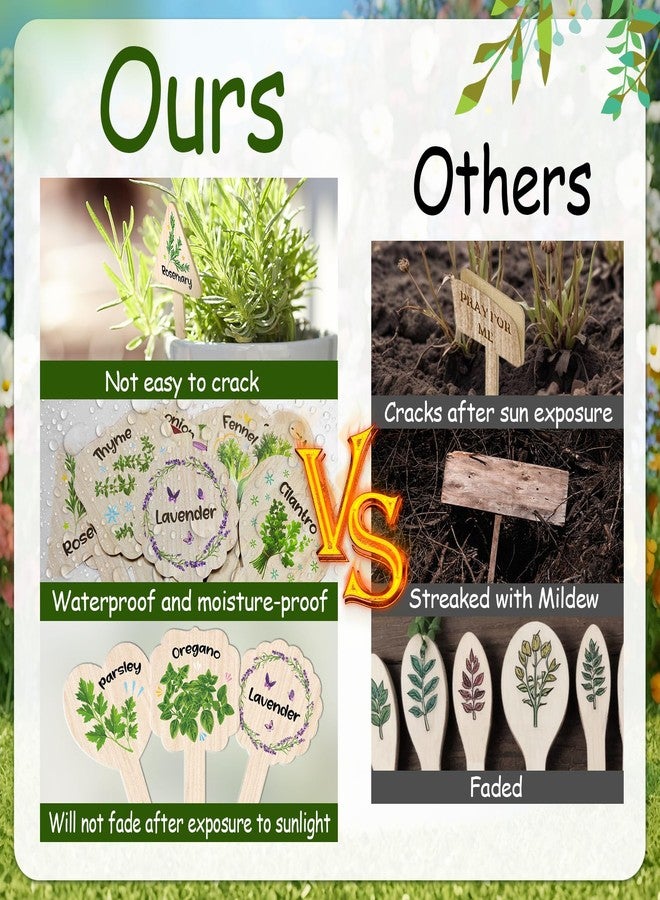 JUYRLE Plant Label Signs- 15PACK Herb Garden Markers, Plant Labels for Outdoor Garden Waterproof, Plant Tags with Names, Indoor Patio Tags for Succulent Flowers Greenery Seedling - Image 3