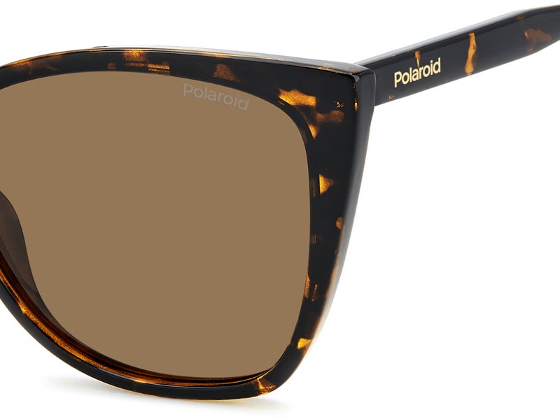 Polaroid Rectangular Sunglasses Frames - Image 5