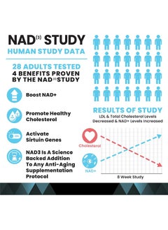 HPN Nad+ Booster (Nad3) Anti Aging Cell Booster True Nad Supplement Cell Regenerator 60 Veggie Capsules  - Image 4