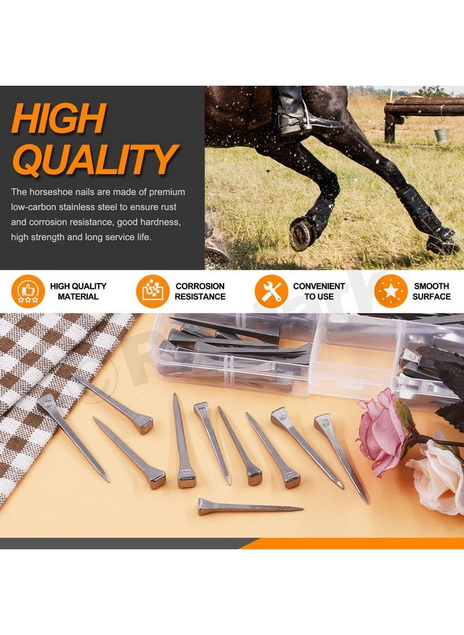 Rustark Rustark 130Pcs 5 Sizes Steel Horseshoe Nails Assortment Kit 1.6” 1.7” 1.9” 2” 2.4” E2 E3 E4 E5 E6 Horse Hoof Nails Horseshoe Tools Equipment for Horseshoes Horse Race Training  - Image 3