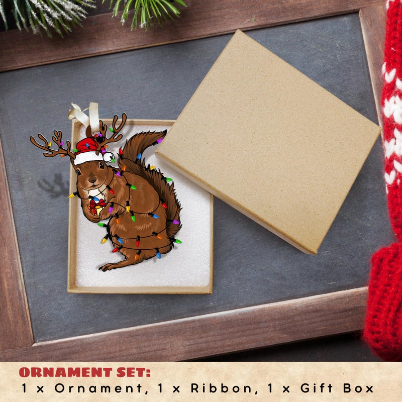 TEEBIM زخرفة السنجاب - الحلي عيد الميلاد السنجاب - هدايا السنجاب - هدايا السنجاب لعشاق السنجاب - هدايا السنجاب للنساء - الحلي السنجاب لشجرة عيد الميلاد - زخرفة السنجاب الأكريليك - Image 3