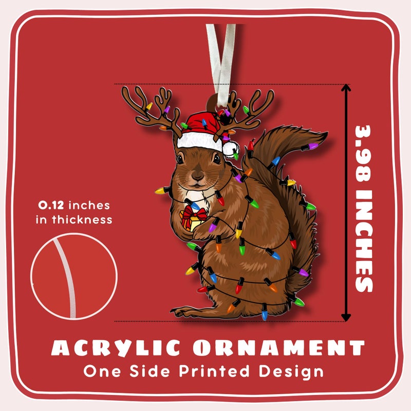 TEEBIM زخرفة السنجاب - الحلي عيد الميلاد السنجاب - هدايا السنجاب - هدايا السنجاب لعشاق السنجاب - هدايا السنجاب للنساء - الحلي السنجاب لشجرة عيد الميلاد - زخرفة السنجاب الأكريليك - Image 2