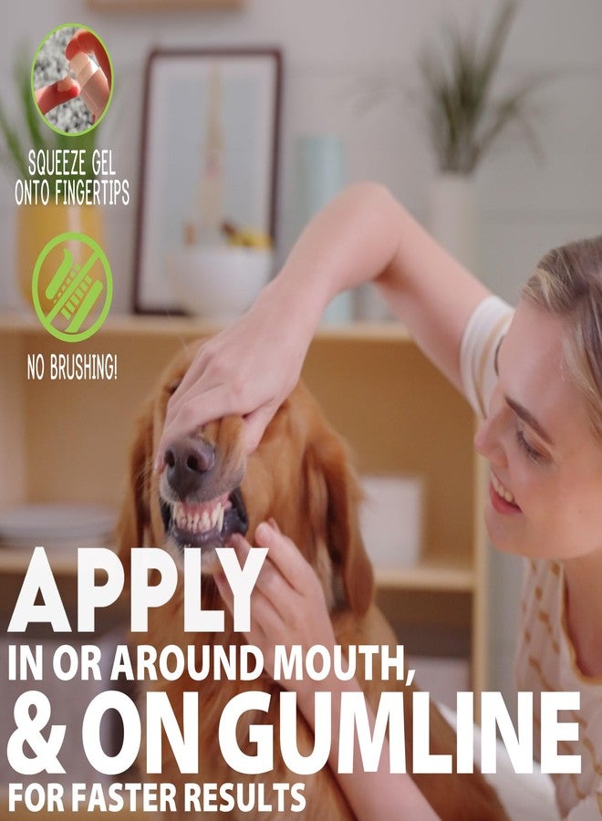 CORE Pet Complete Oral Care from The Founders of PetzLife - 4 oz (Peppermint Gel) - Image 4