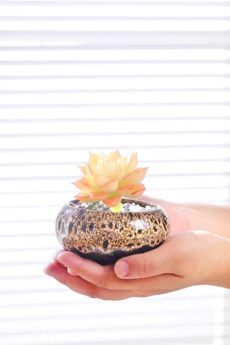LamDawn Cute Ceramic Succulent Garden Pots, Planter with Drainage and Attached Saucer, Set of 5 -Plants Not Included (Vivid Colors) - Image 4