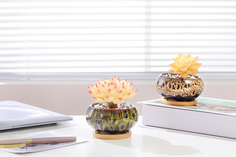LamDawn Cute Ceramic Succulent Garden Pots, Planter with Drainage and Attached Saucer, Set of 5 -Plants Not Included (Vivid Colors) - Image 5