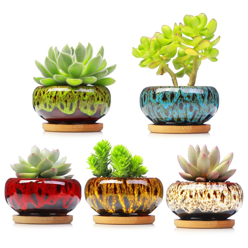 LamDawn Cute Ceramic Succulent Garden Pots, Planter with Drainage and Attached Saucer, Set of 5 -Plants Not Included (Vivid Colors) - Image 1