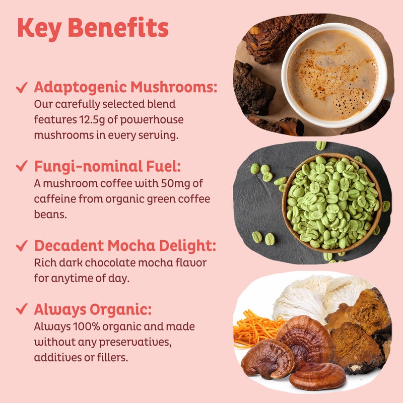 KOS Mushroom Coffee - USDA Certified Organic - Dark Chocolate Mocha Flavor - Mushroom Coffee Latte Powder with Reishi, Cordyceps, Lion's Mane, Chaga & Turkey Tail Mushrooms - Image 3