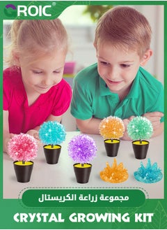 GROIC Crystal Growing Kit,2 Crystals with Display Stand,Science Experiment Gifts for Kids,Easy DIY Science Kit & STEM Toys for Kids, Educational Gift for Kids  - Image 2