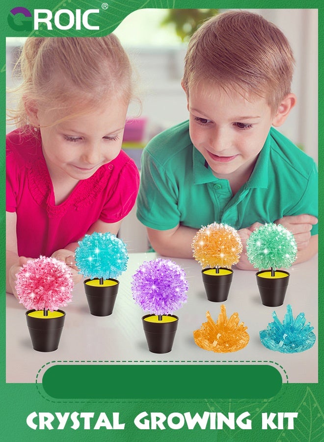 GROIC Crystal Growing Set, 2 Crystals with Display Stand,Science Experiment Gifts for Kids,Easy DIY Science Kit & STEM Toys for Kids, Educational Gift for Kids - Image 2
