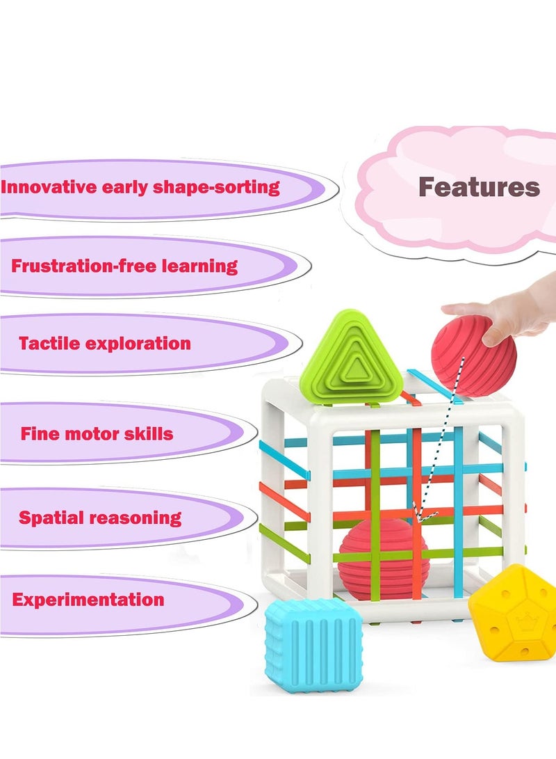 Raxoom Montessori Toys for 1 Year Old,Baby Sorter Toy Colorful Cube and 6 Pcs Multi Sensory Shape, Toddler Developmental Learning Toys Birthday Gifts,Baby Toys 6-12-18 Months - Image 5