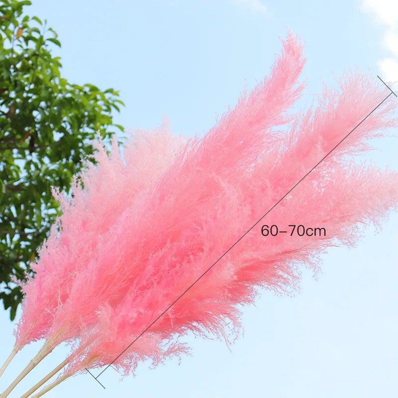 Bluejw G21 Large Pampas Grass Decor - Natural Dried Pampas Grass Plumes for Wedding Decorations & Dried Plants - Image 4