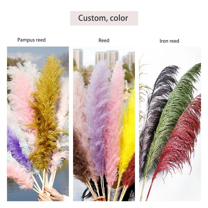 Bluejw G21 Large Pampas Grass Decor - Natural Dried Pampas Grass Plumes for Wedding Decorations & Dried Plants - Image 5