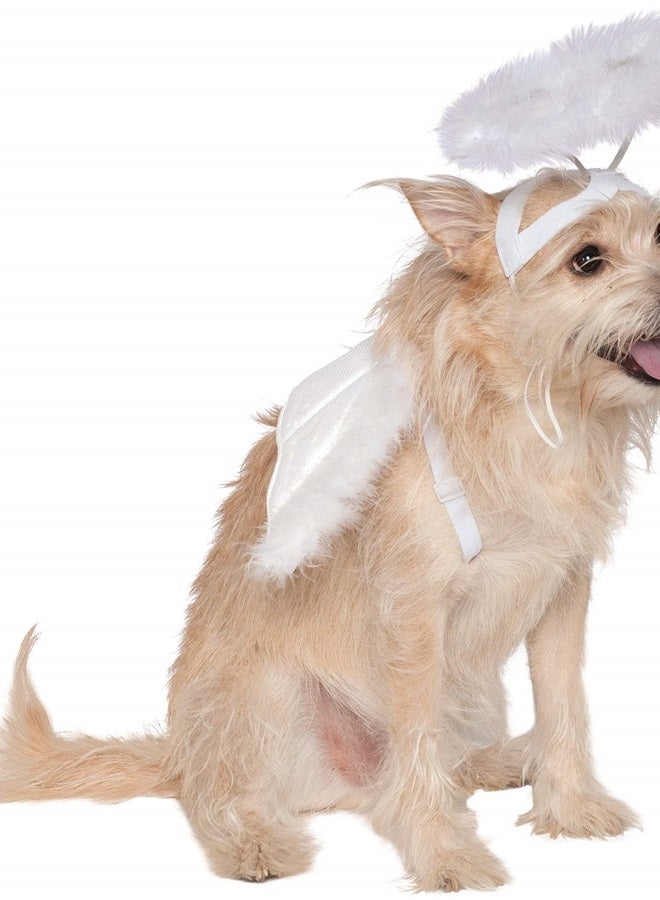 Angel Halo and Wings Pet Costume Accessory Set, Medium to Large, Multicolor