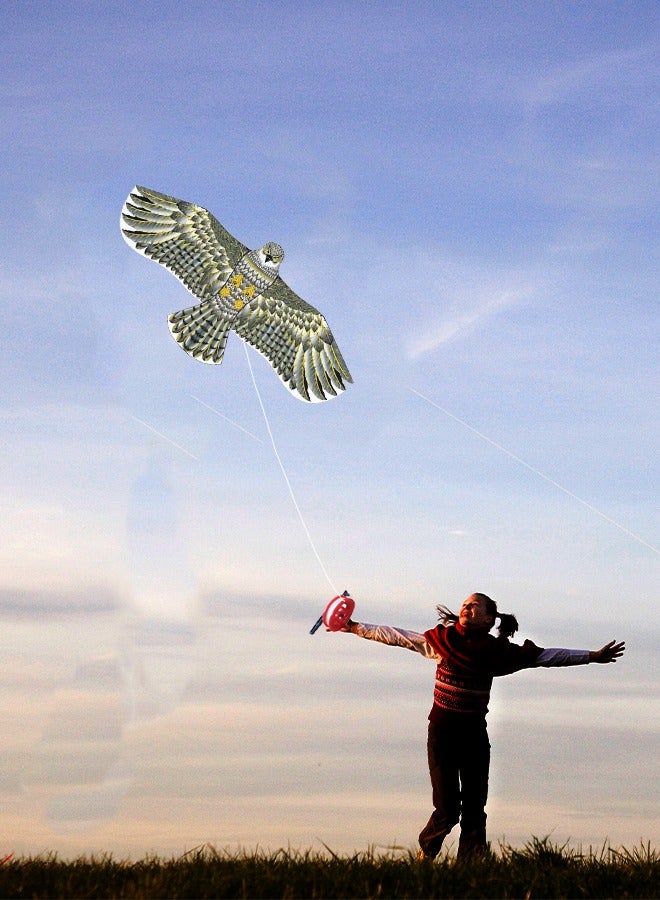 GROIC Eagle Kite for Kids and Adults Single Line String Colorful Huge Easy to Fly Outdoor Games 63 Inch - Image 5