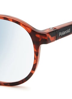 Polaroid Unisex Reading Glasses - Pld 0034/R/Bb Red Havana 48 - Lens Size: 48 Mm  - Image 5