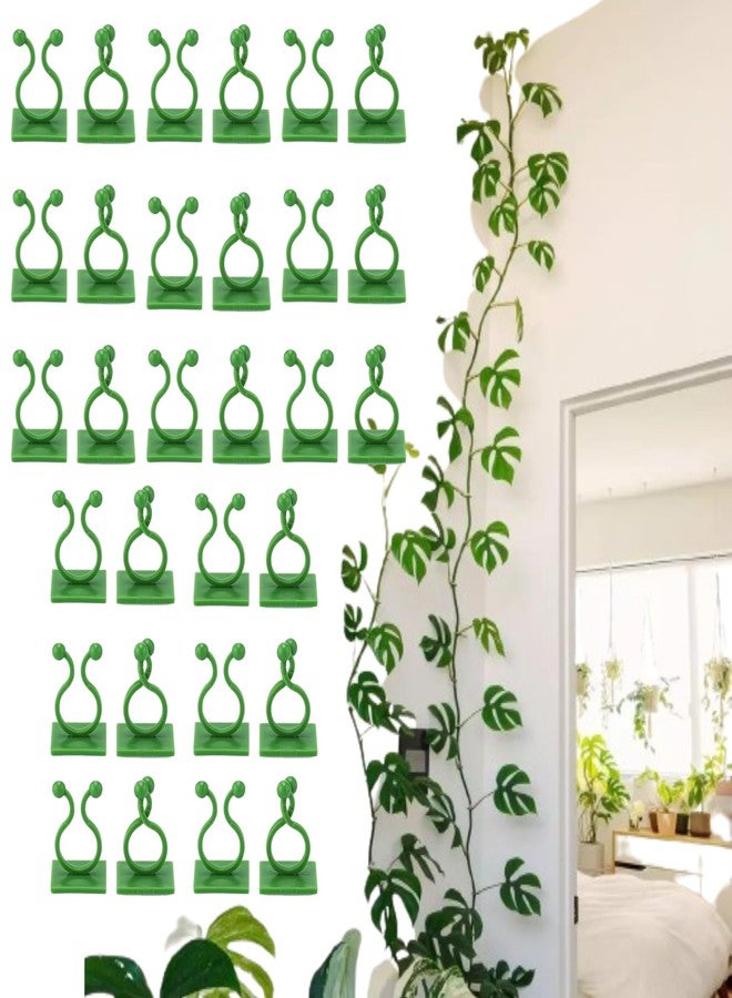 SILENT MONK Vine PlantClimbing Wall Clips Pack of 30 Pieces. Clips Will Stick permenently on Surface Inside Made in India. Green/White. Multi-Porpose Clips. (Green, 30) - Image 1