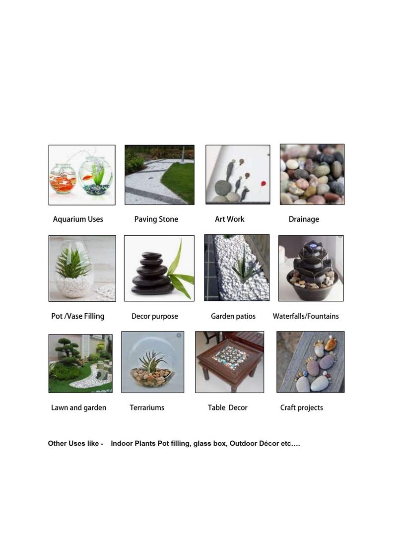 OhhSome Ohhsome 5Kg Black Fine Sand Natural Pebbles Glossy Home Decorative Vase Fillers Stone White 5Kg  - Image 2