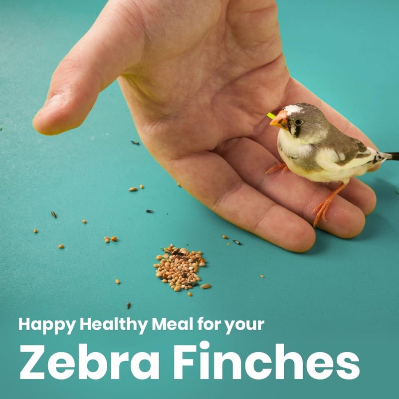 BRANDSFINITY Premium Bird Feed For Zebra Finch (400g) - Image 3