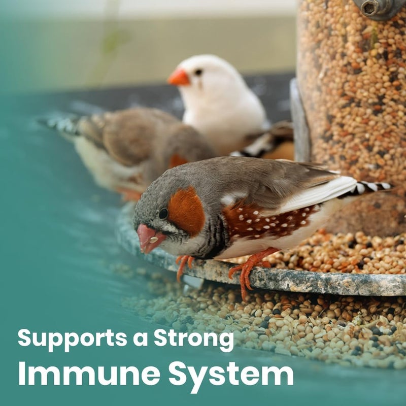 BRANDSFINITY Premium Bird Feed For Zebra Finch (400g) - Image 4