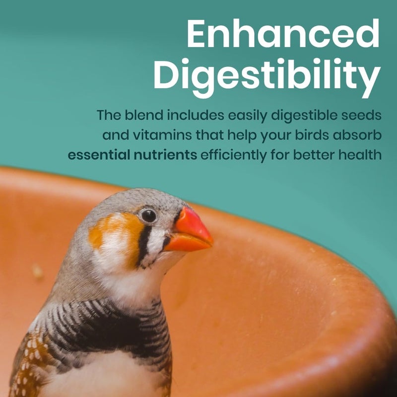 BRANDSFINITY Premium Bird Feed For Zebra Finch (400g) - Image 5