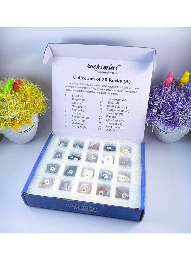 Rocksmins Collection of 20 Rocks in Beautiful Colour Box for School Education Igneous Sedimentary Metamorphic samples collections introductory activity geology earth science volcanic stones - Image 4