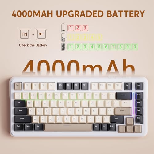 MAMBASNAKE ATTACK SHARK M86 82 Keys Wireless Mechanical Keyboard, 75% Gasket Hot Swappable Custom Keyboard, Side Printed PBT Keycaps, RGB Backlit, Pre-lubed Switches, BT/2.4GHz/ Wired Mechanical Gaming Keyboard - Image 4