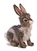 Hansa Bunny Rabbit Plush Animal Toy 9 - Image 2