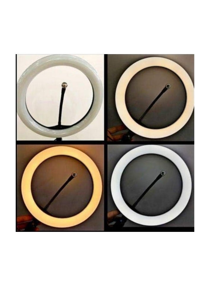 Plastic Ring Light with Four Modes and USB Cable - 26 CM Dimmable Ring Light for Mobile, Live Streaming, Makeup, YouTube, and Facebook  - Image 3
