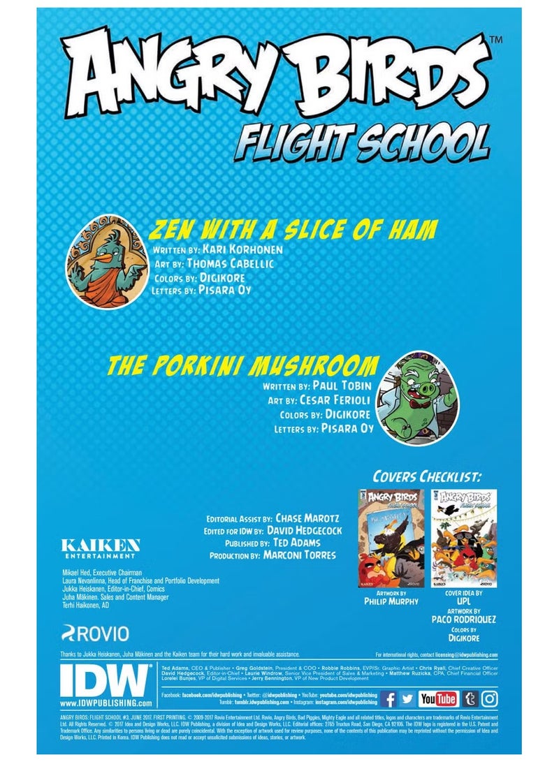 ANGRY BIRDS FLIGHT SCHOOL #3 - Image 3