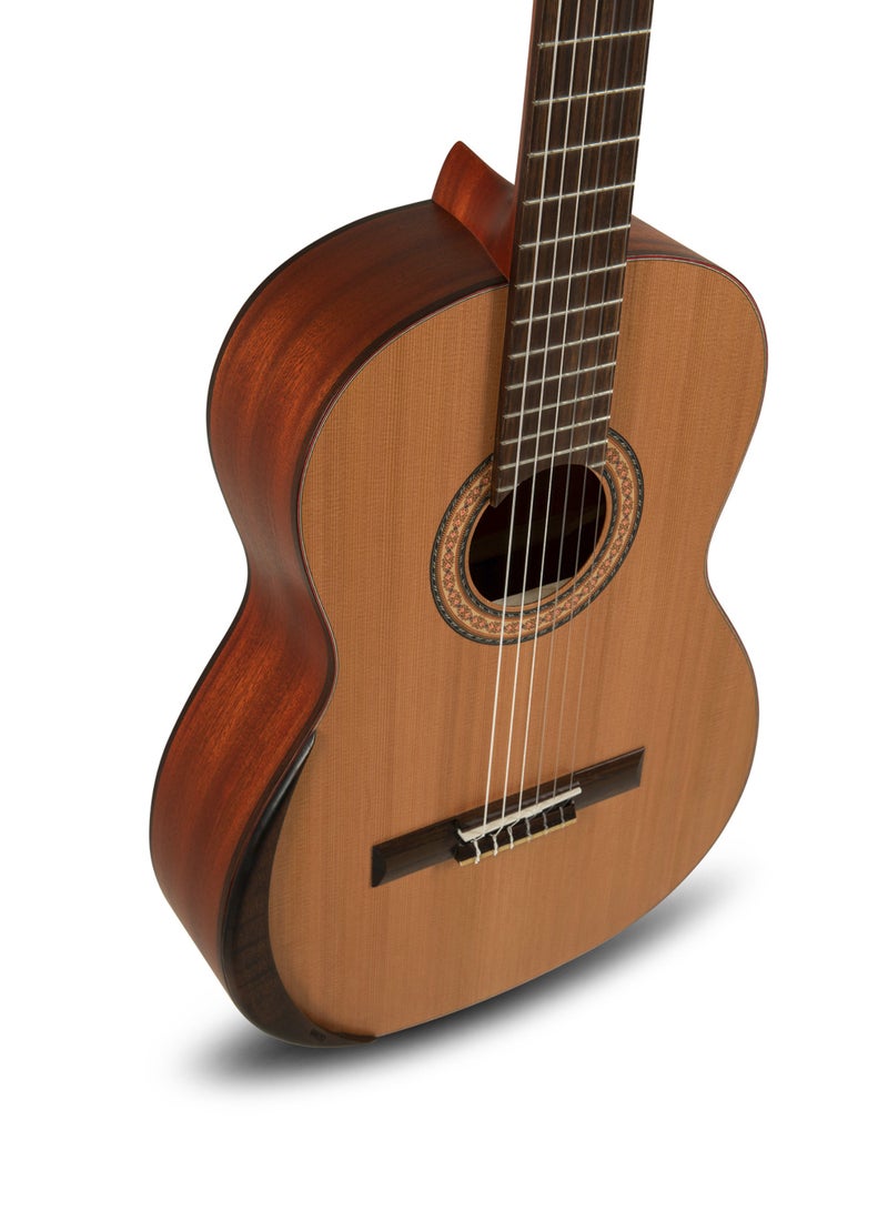 Manuel Rodríguez TRADICIÓN T-65 Classical Guitar 4/4 – Solid Cedar Top, Mahogany Back & Sides – Made in Europe - Image 4