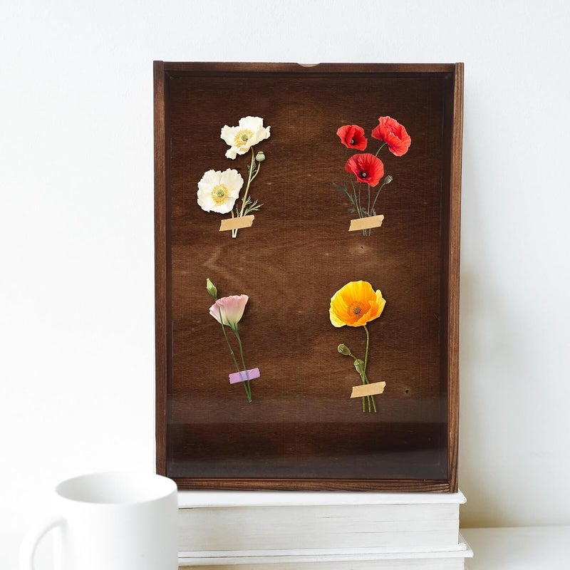 STAHAD Wooden Insect Display Frame with Sliding Drawer, Butterfly Specimen Shadow Box 31x22x5.5cm Carbon Color, Dustproof Storage Case for Bug Specimens and Pressed Flowers, - Image 5