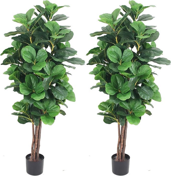 5 Pack of Two 2 Gorgeous Dense Fiddle Leaf Fig Tree Artificial Silk Plant with UV Protection with Nursery Plastic Pot Feel Real Technology Super Quality Green