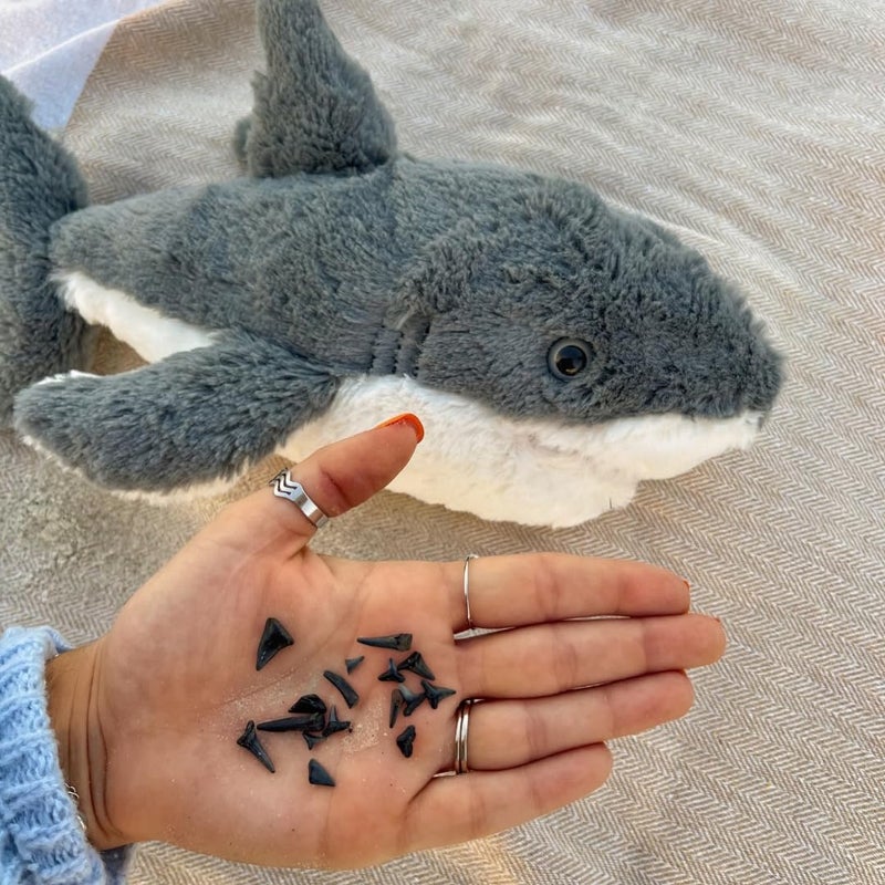Fahlo Tracking Plush | 12" Plush Toy with Interactive 3D Tracking Map | Supports Wildlife Conservation | Eco-Friendly Ages | (Shark) - Image 4