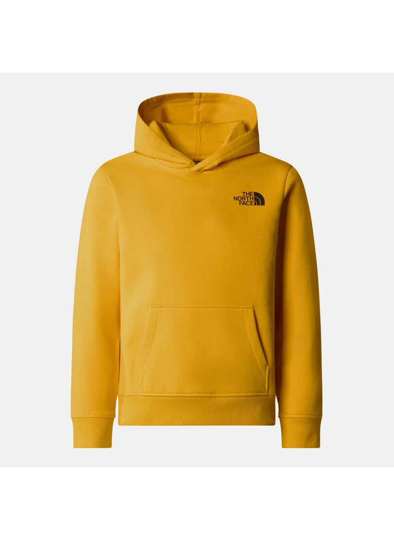 THE NORTH FACE Kids' Redbox Hoodie