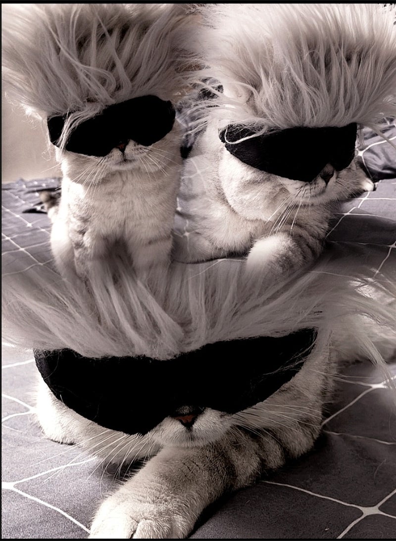 A.M Jujutsu Battle Gojo Satoru Pet Eye Mask Supplies Cat COS Headset Hat Decoration Headwear Photography Dog Wig - Image 5