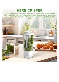 Excefore Green Vegetables Storage Saver, Herb Storage Container for Refrigerator, Designed for Maximum Freshness, Easy Access Herb Storage Containers for Refrigerator, Cilantro Saver  - Image 5