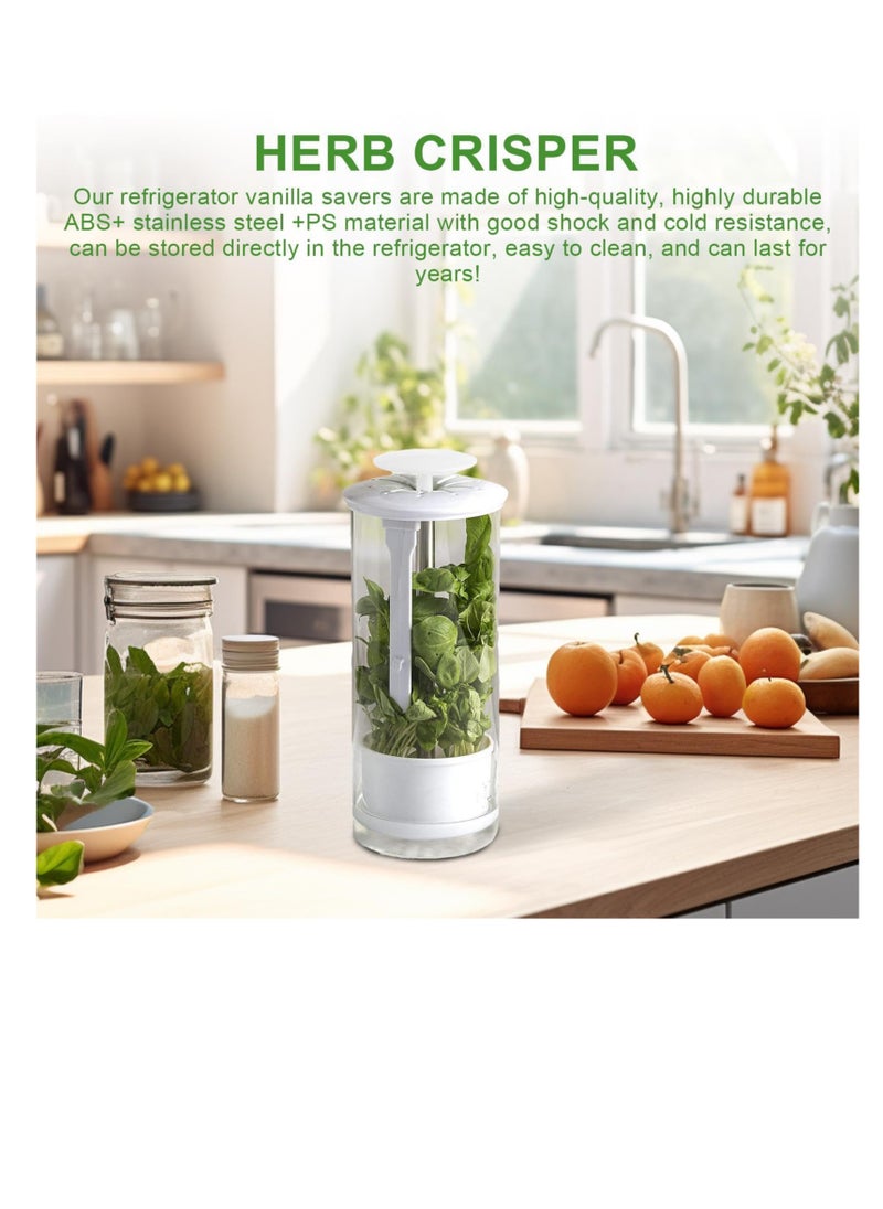 Excefore Green Vegetables Storage Saver, Herb Storage Container for Refrigerator, Designed for Maximum Freshness, Easy Access Herb Storage Containers for Refrigerator, Cilantro Saver  - Image 5