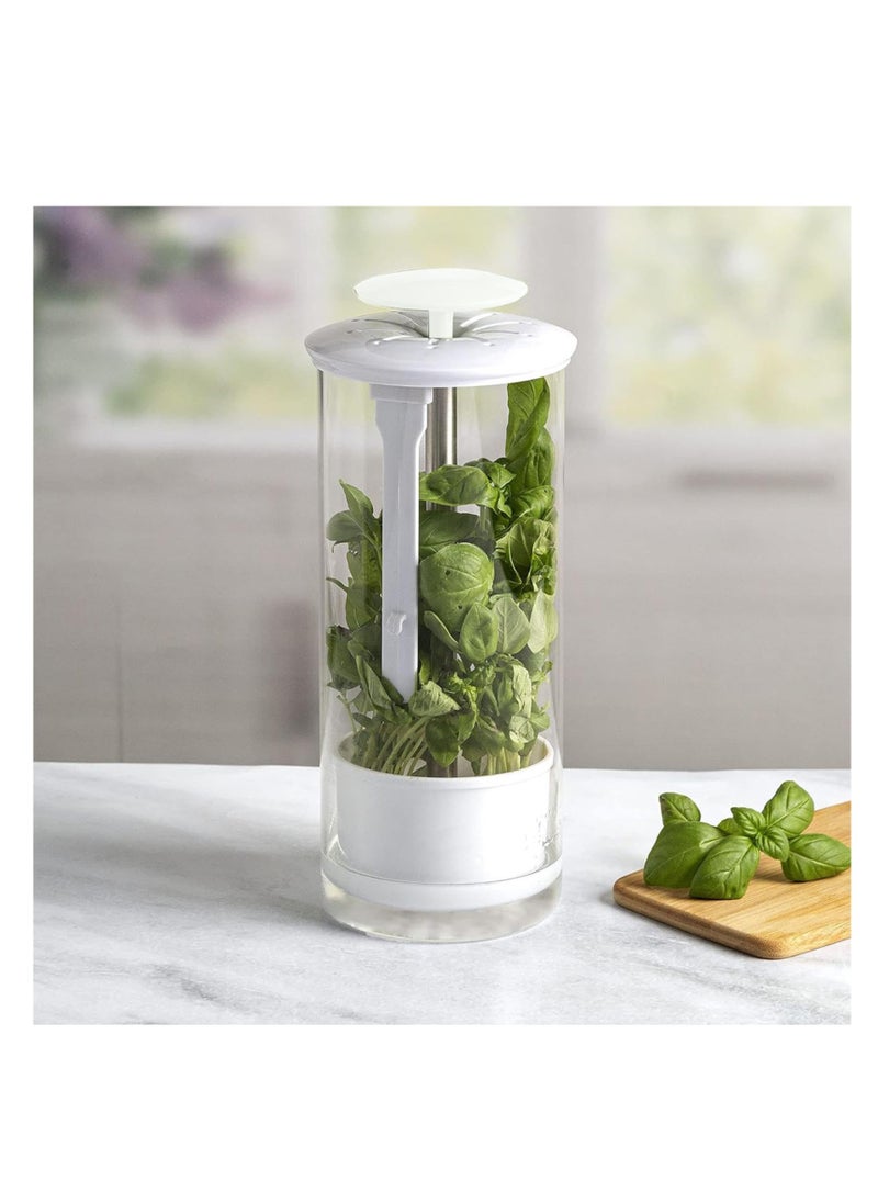 Excefore Green Vegetables Storage Saver, Herb Storage Container for Refrigerator, Designed for Maximum Freshness, Easy Access Herb Storage Containers for Refrigerator, Cilantro Saver  - Image 4