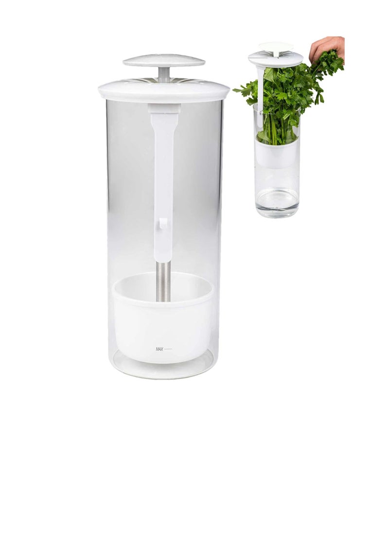 Excefore Green Vegetables Storage Saver, Herb Storage Container for Refrigerator, Designed for Maximum Freshness, Easy Access Herb Storage Containers for Refrigerator, Cilantro Saver  - Image 3