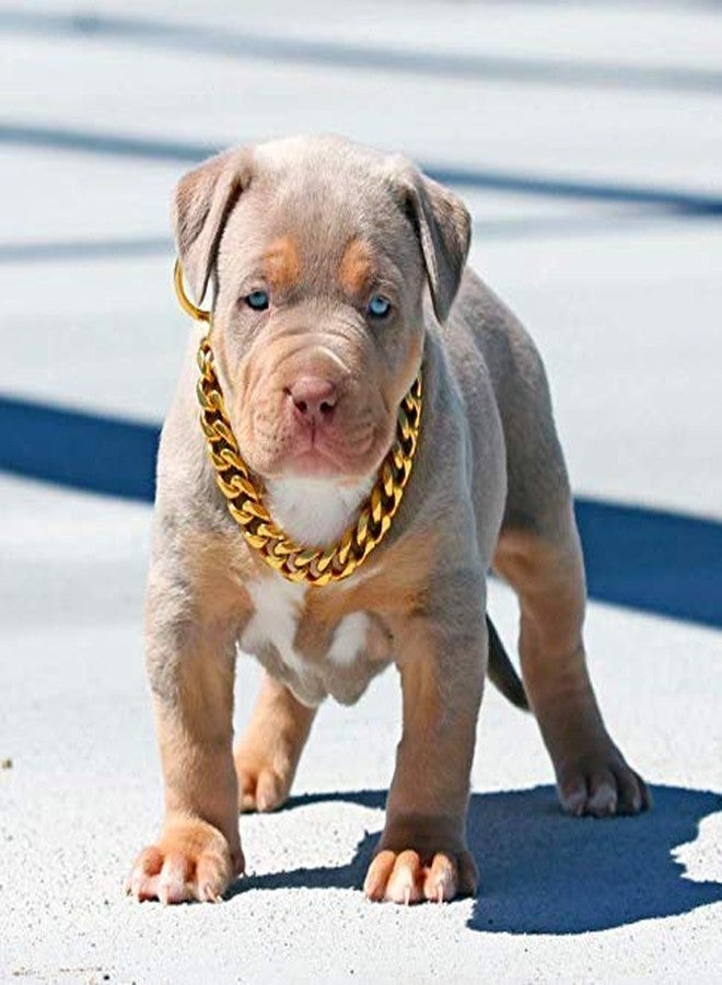 Smart Pups Heavy Duty Dog Brass Chain with Training Choke Chain Suitable for All Breeds 12 NO. Size (30 INCH) - Image 5