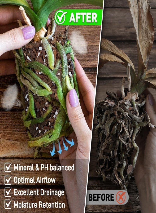 Mulctun 3QT Orchid Bark Potting Mix, Natural Orchid Potting Mix for Repotting, Blended with Small Pine Bark and Perlite to Provide Ideal Ventilation and Good Drainage for Orchids and Other Potted Plants - Image 3