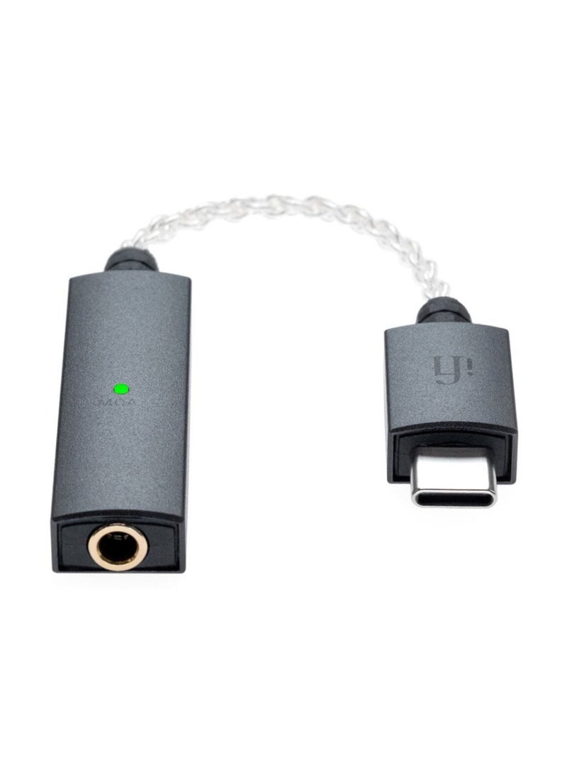 وصلة iFi Audio GO Link DAC Dongle USB-C إلى 3.5 ملم